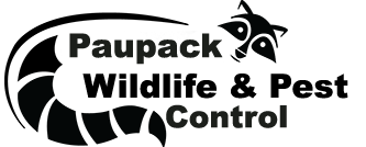 Paupack Wildlife Control